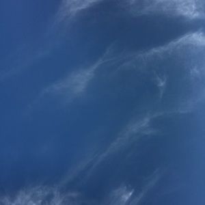 Meet your Posher, Madeline